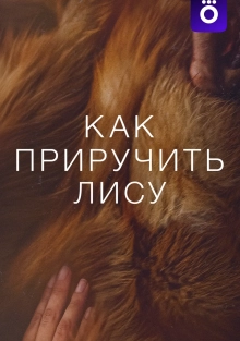 Как приручить лису