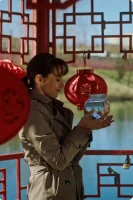 Денежное дерево