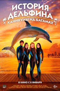 История дельфина: Каникулы на Багамах